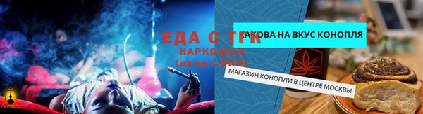 индика Пересвет