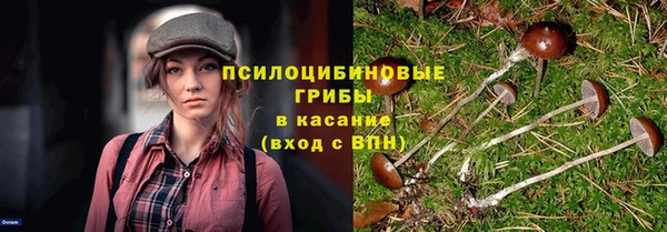 индика Пересвет